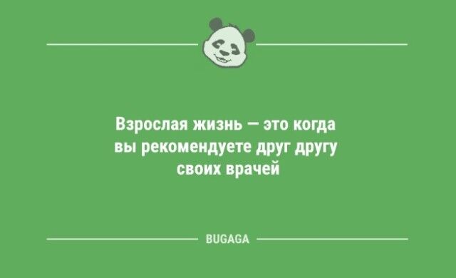 Анекдоты посмеяться: «Когда котики придут к власти…» (9 фото)