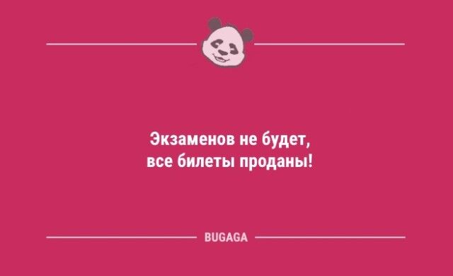 Анекдоты посмеяться: «Когда котики придут к власти…»  