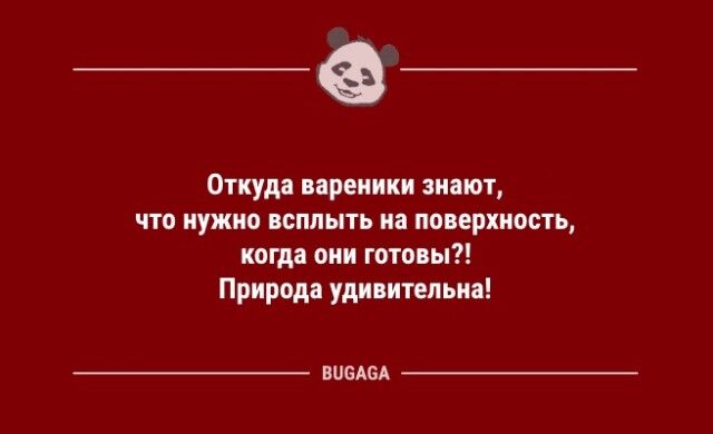 Шутки и анекдоты для хорошего настроения: «Планшет был изобретён для того,..»  