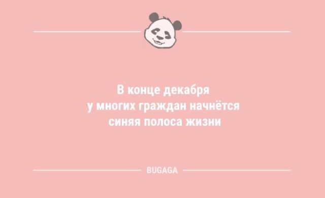 Анекдоты для хорошего настроения: «В конце декабря…» 