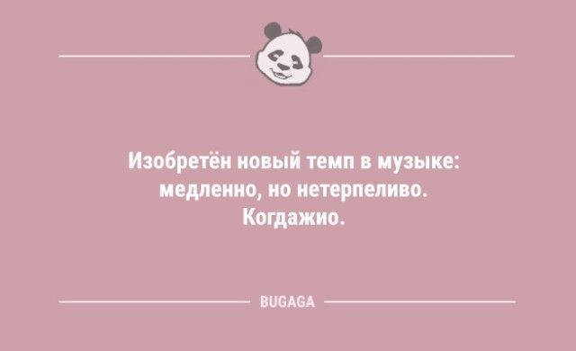 Короткие анекдоты для хорошего настроения: «Хозяйкам на заметку…»  