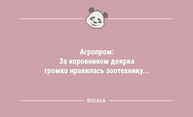 Короткие анекдоты для хорошего настроения: «Хозяйкам на заметку…»  