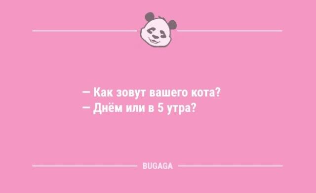 Анекдоты для улыбки: «Утреннюю зарядку пусть делает тот…»  