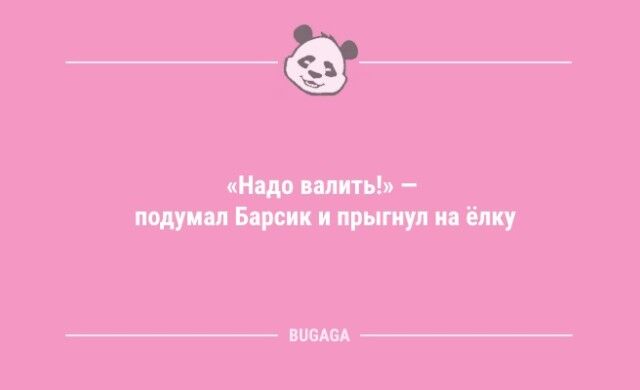 Анекдоты для улыбки: «Утреннюю зарядку пусть делает тот…»  