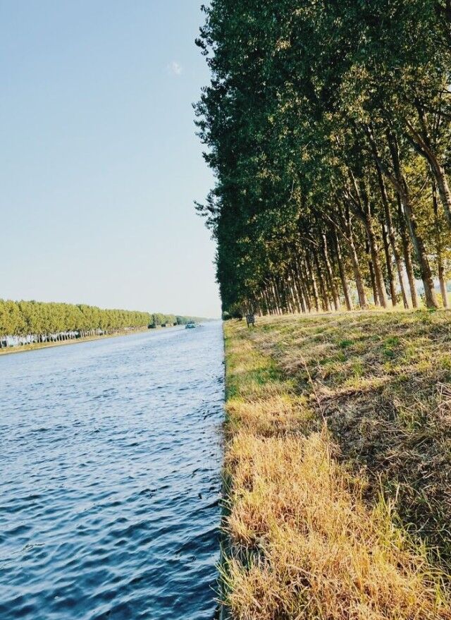 Невероятные фотографии, в реальность которых трудно поверить, но это не фотошоп (20 фото) Невероятные фотографии, в реальность которых трудно поверить, но это не фотошоп (20 фото) хотите, фотографии, когда, произведение, виднеется, небо11, ковёр, выглядит, будто, Сегодня, искусства Фаига, которым, которое, продаётся, 15000, долларов12, Двухголовый, восьминогий, Ахмеда, длинного