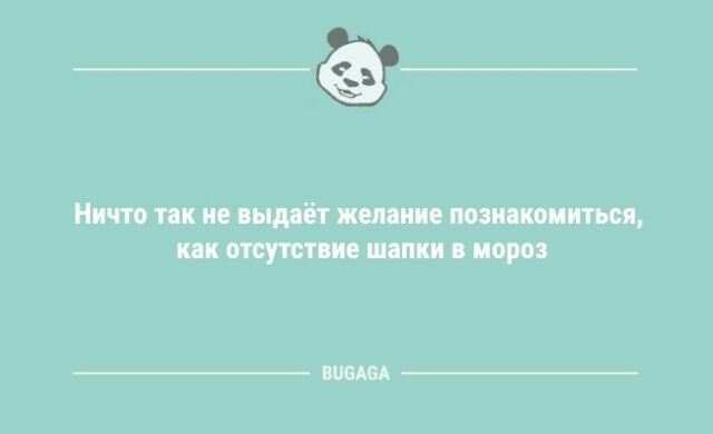 Анекдоты для настроения: «А с какого момента Новый год перестаёт быть новым?»  