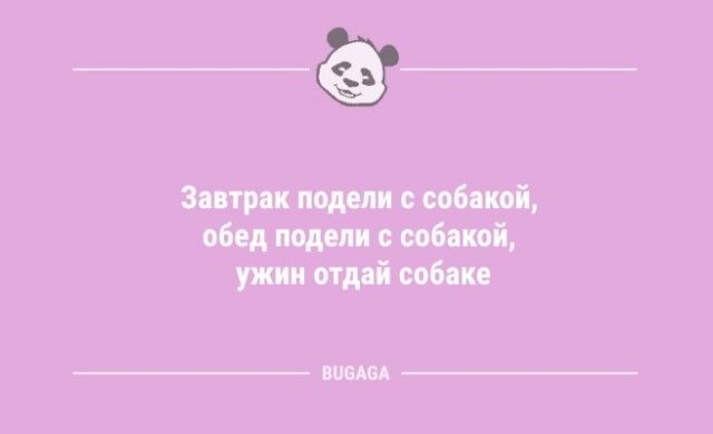 Анекдоты дня: «В детстве искал клад…» (8 шт) Сборник, анекдотов, отличного, настроения, начале, выпуске, быстро, растущих, детей, любовь, апрелю, борьбу, ленью, поиски, клада, другое