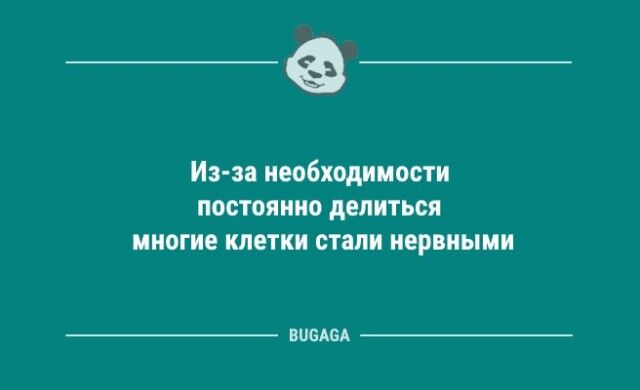 Анекдотов пост: «Расскажите немного о себе…»  