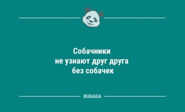 Анекдотов пост: «Расскажите немного о себе…»  