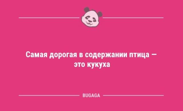 Анекдоты в середине недели: «А график работы у нас гибкий…»  