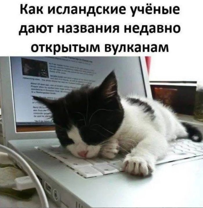 Лучший сборник юмора с мемами Забудьте, взрыву, приколы, способные, рассмешить, самого, серьезного, человека, Готовьтесь, хохота, собрали, забудьте, поделиться, порцией, хорошего, настроения, друзьямиВнимание Возможны, неконтролируемые, приступы, отборные