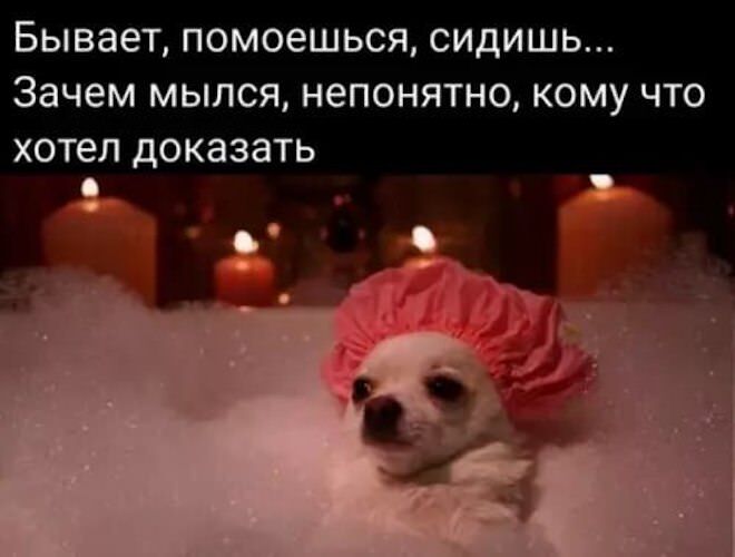 Лучший сборник юмора с мемами Забудьте, взрыву, приколы, способные, рассмешить, самого, серьезного, человека, Готовьтесь, хохота, собрали, забудьте, поделиться, порцией, хорошего, настроения, друзьямиВнимание Возможны, неконтролируемые, приступы, отборные