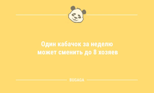 Анекдоты для всех: «Кто в тетрис не играл…» (9 шт) Новая, настроенияВ, клавиатуры, чистку, трансформеры, разницу, большую, переезд, выпуске, отличного, коллекция, вашего, статусов, прикольных, историй, забавных, анекдотов, смешных, другое
