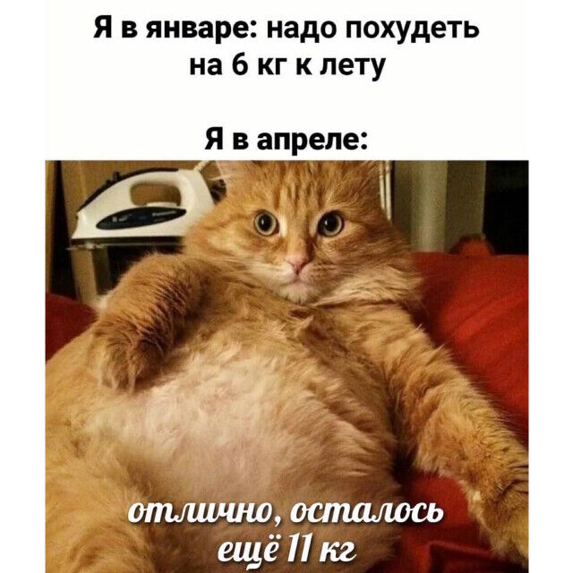Прикольные мемы про похудение, карты Татаро, экстрим и другое