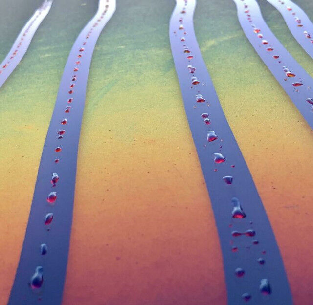 Окружающий мир в фокусе: вдохновляющие кадры, которые заставляют смотреть шире Окружающий мир в фокусе: вдохновляющие кадры, которые заставляют смотреть шире