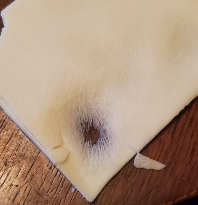 Окружающий мир в фокусе: вдохновляющие кадры, которые заставляют смотреть шире Окружающий мир в фокусе: вдохновляющие кадры, которые заставляют смотреть шире