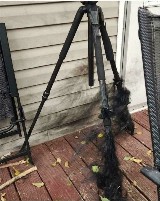 Окружающий мир в фокусе: вдохновляющие кадры, которые заставляют смотреть шире Окружающий мир в фокусе: вдохновляющие кадры, которые заставляют смотреть шире