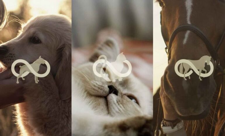 Компания Colossal приобретает лидера рынка клонирования Viagen для расширения усилий по сохранению редких видов