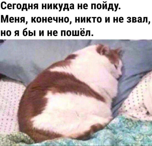 Мемы о дружбе и общении с окружающими 