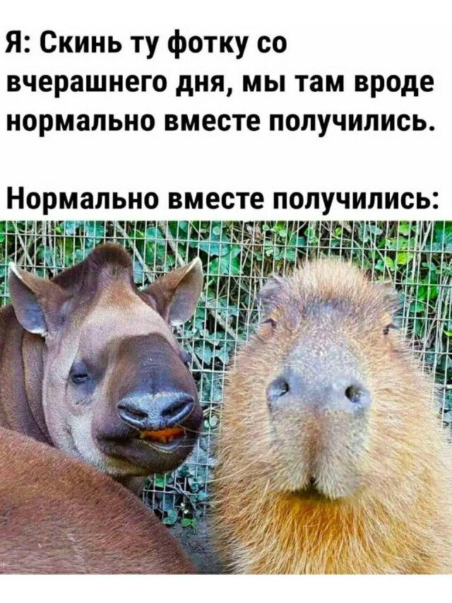 Мемы о дружбе и общении с окружающими 