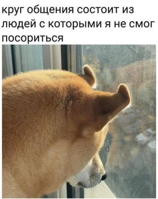 Мемы о дружбе и общении с окружающими 