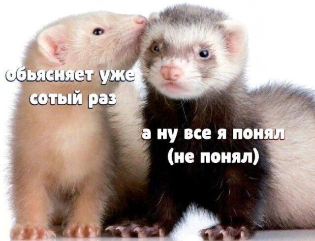 Мемы о дружбе и общении с окружающими 