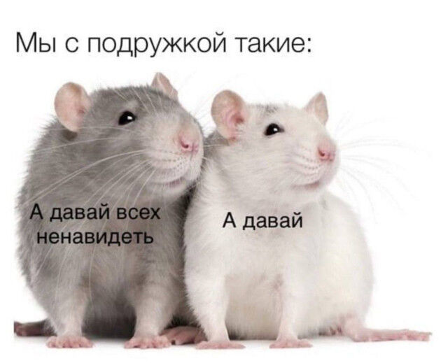 Мемы о дружбе и общении с окружающими 