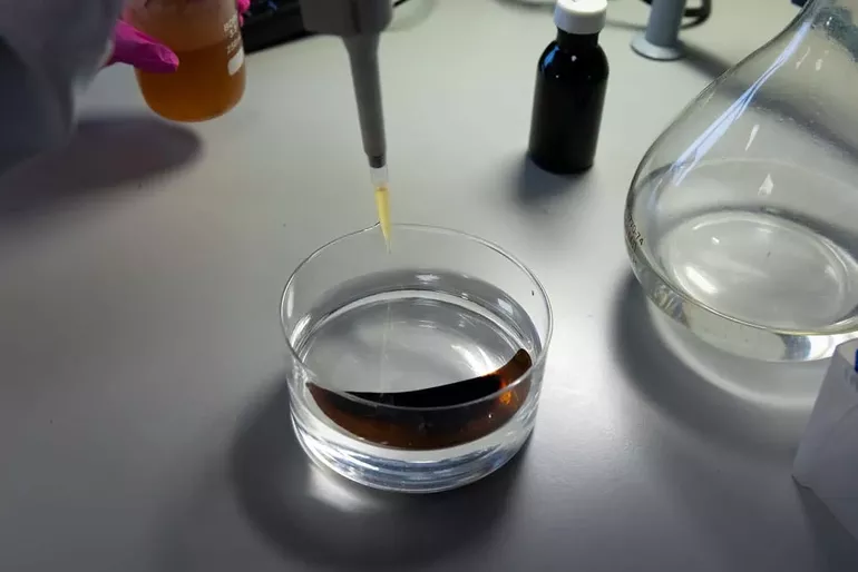 Российские ученые создали первый в мире реагент для ликвидации нефтяной пленки в тропических морях