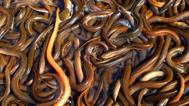 Топ-20 научных фактов, которые вас поразят 