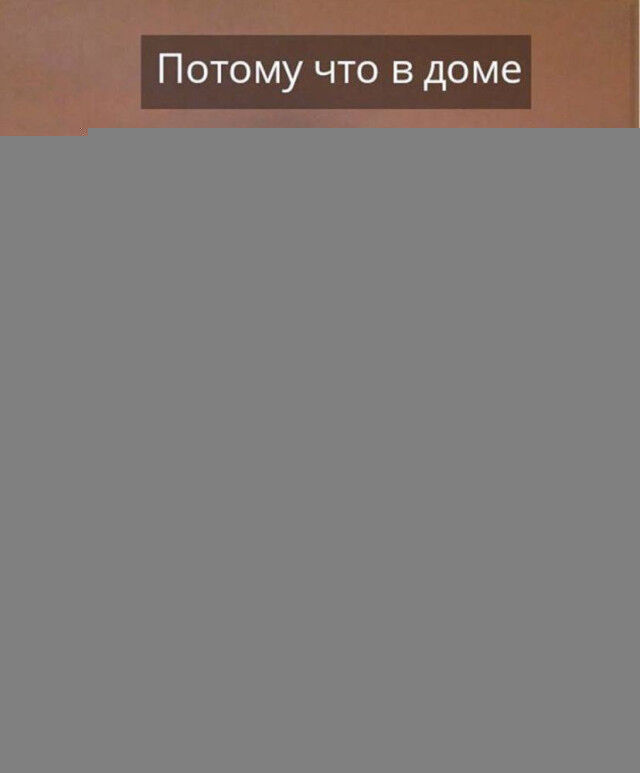 О крепких отношениях котов и новогодних елок в фотографиях 