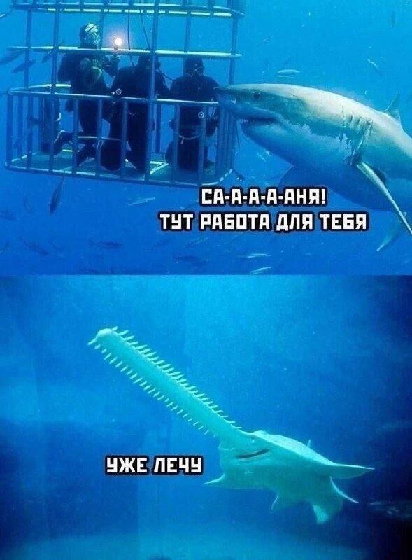 Мемы и приколы для небольшого перерыва