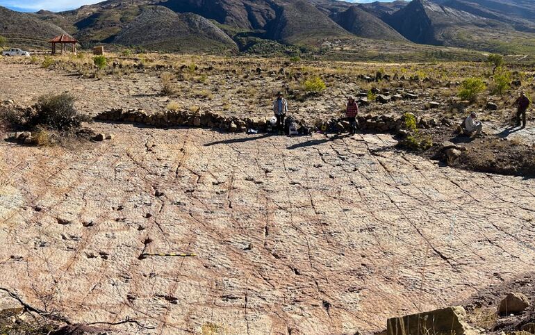 Динозавры протоптали магистраль по берегу озера в Боливии