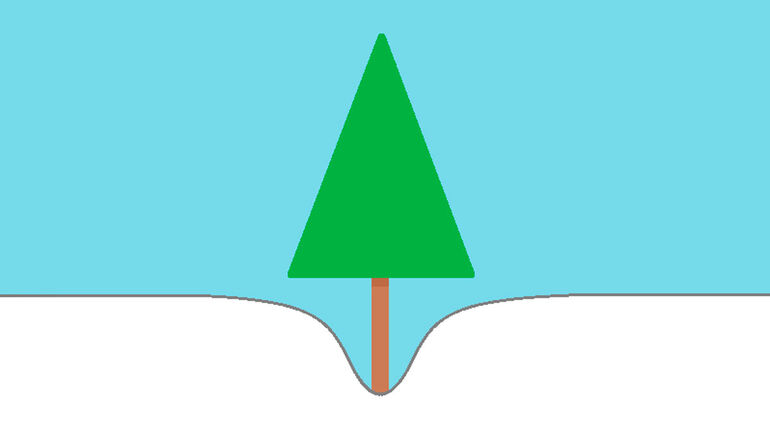 Чем опасны деревья для лыжников, сноубордистов и других людей