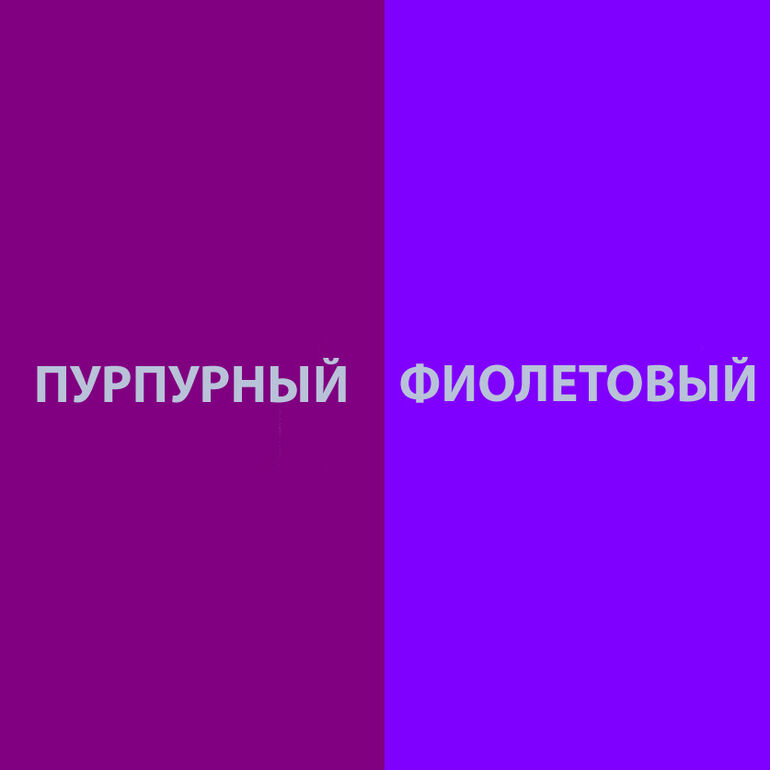 Пурпурного цвета не существует: почему наш мозг его выдумывает?
