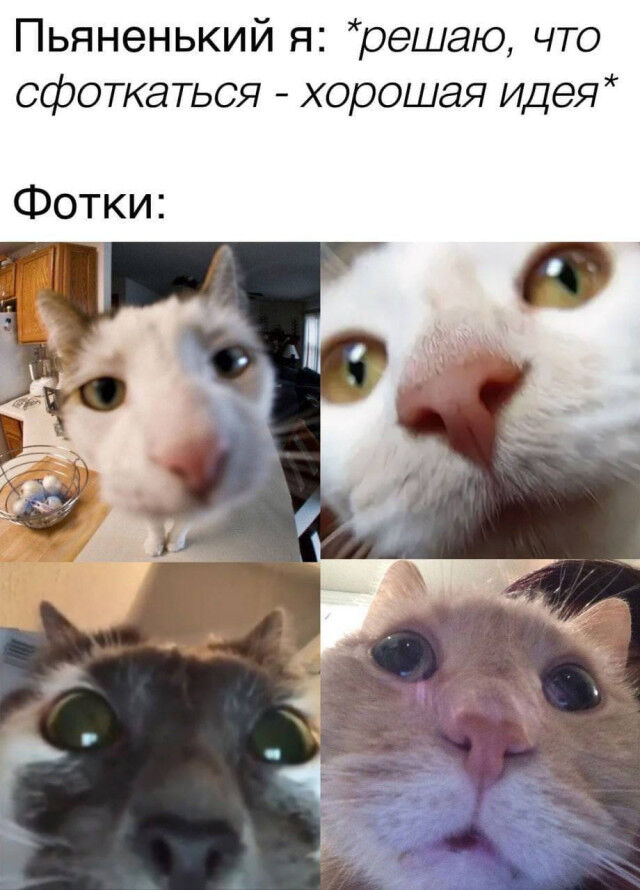 Когда смешно — и этого достаточно подтекста, глубоких, смыслов, Чистый, понятный, юмор 1  2 