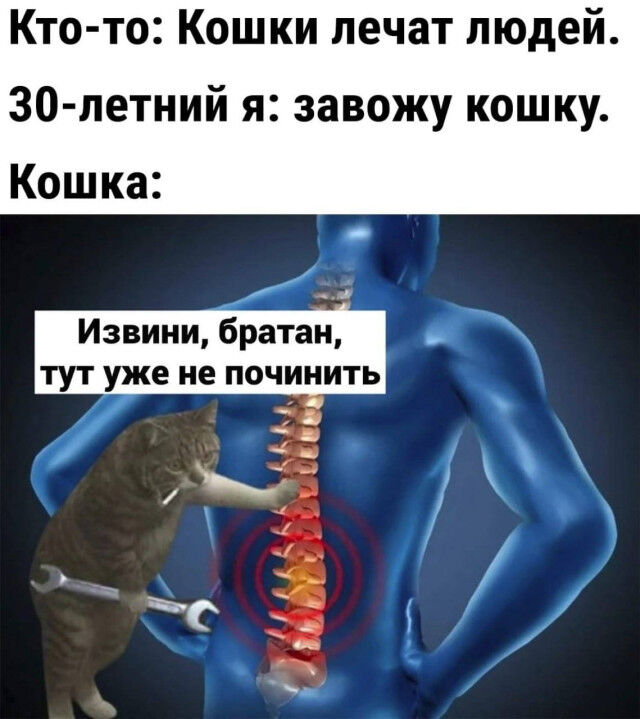 Когда смешно — и этого достаточно подтекста, глубоких, смыслов, Чистый, понятный, юмор 1  2 