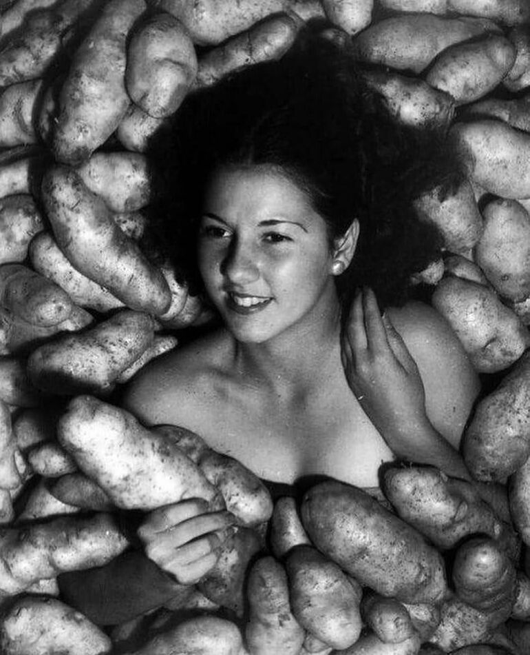 Исторические кадры. Быть не может! Мэрилин, Александр, Монро, которая, Следующая, Хелен, Никулин, февраля, Тутанхамона, гробницу, вскрывает, Картер, Говард, Археолог, Миррен, Нисон, девушка, 1941–1943, льдах, арктических