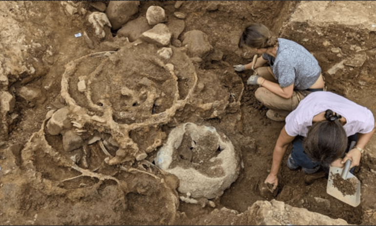 В Британии обнаружен крупнейший в истории клад железного века, изменивший представление о древних технологиях