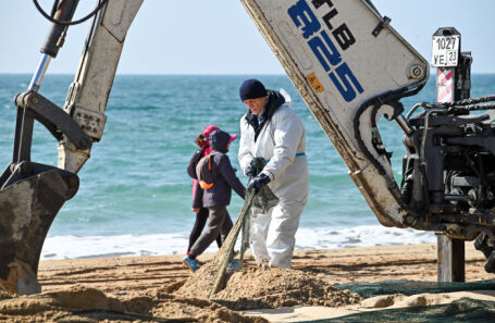 Этим летом в Анапе все-таки откроют пляжи