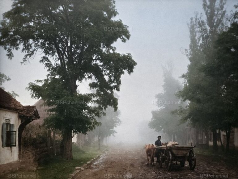 Исторические фото. Ништяк! империя, Вакано, Российская, завода, также, балета, катер, пивоваренного, Российской, империи, своего, который, Николая, годах, стала, первых, после, Сонька, корпус, Андреем
