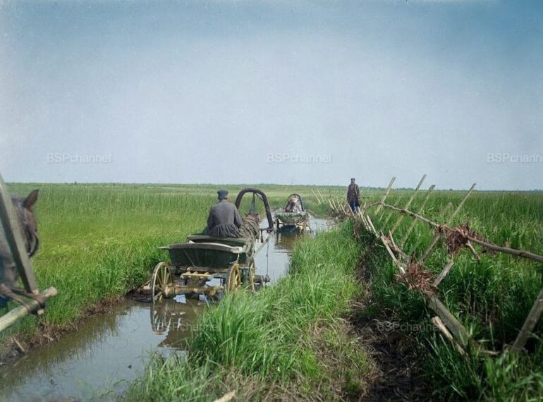 Исторические фото. Ништяк! империя, Вакано, Российская, завода, также, балета, катер, пивоваренного, Российской, империи, своего, который, Николая, годах, стала, первых, после, Сонька, корпус, Андреем