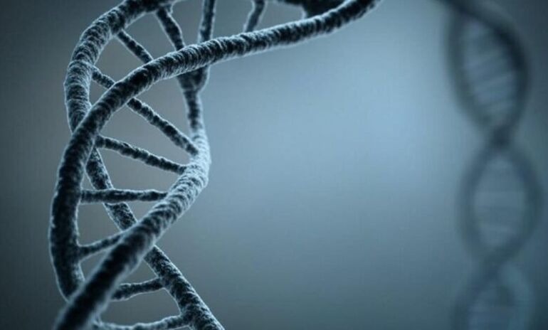 Изучение древней ДНК показало неожиданное ускорение естественного отбора у людей за последние 10 000 лет