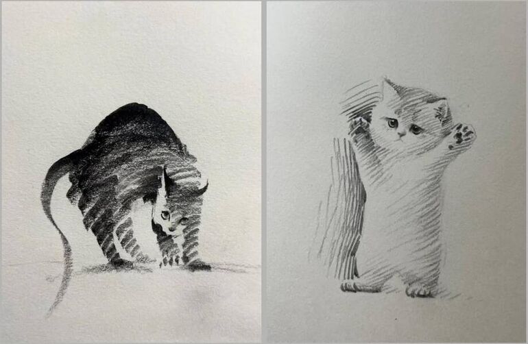 15 милых карандашных рисунков котов, в которые легко влюбиться