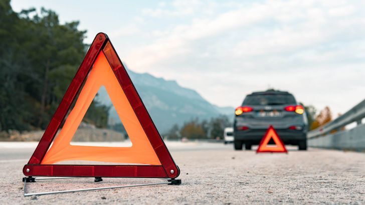 Что грозит водителю в России за сбитого голубя: какой штраф ждет виновника и могут ли лишить прав