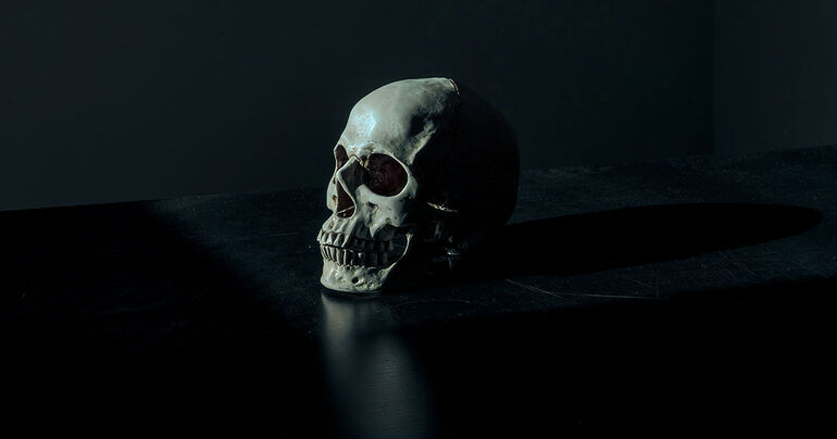 Вес костей составляет всего 15% от общей массы тела