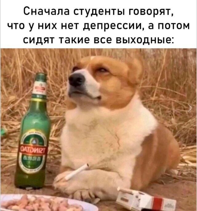 Генератор случайных улыбок — приколы | Bugaga