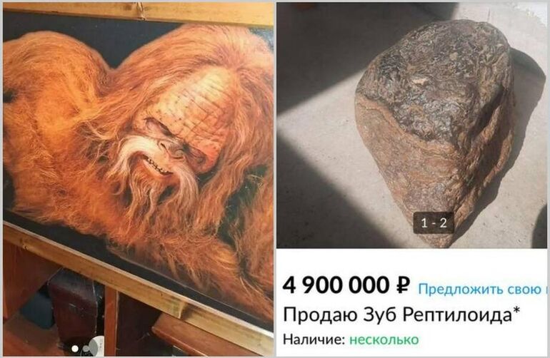 15 фото самых странных объявлений с барахолок в интернете