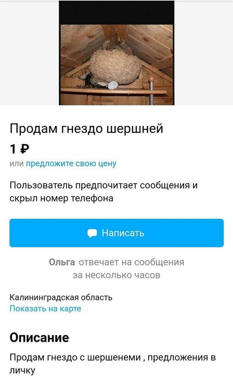 15 фото самых странных объявлений с барахолок в интернете можно, Здесь, сколов, находкаЗеркало, интересная, двореОчень, своем, установить, которого, динозавра, насчет, питбулейТеплица, даромА, щенков, таких, продавал, нуженКтото, большой, свитерРебенок, женский