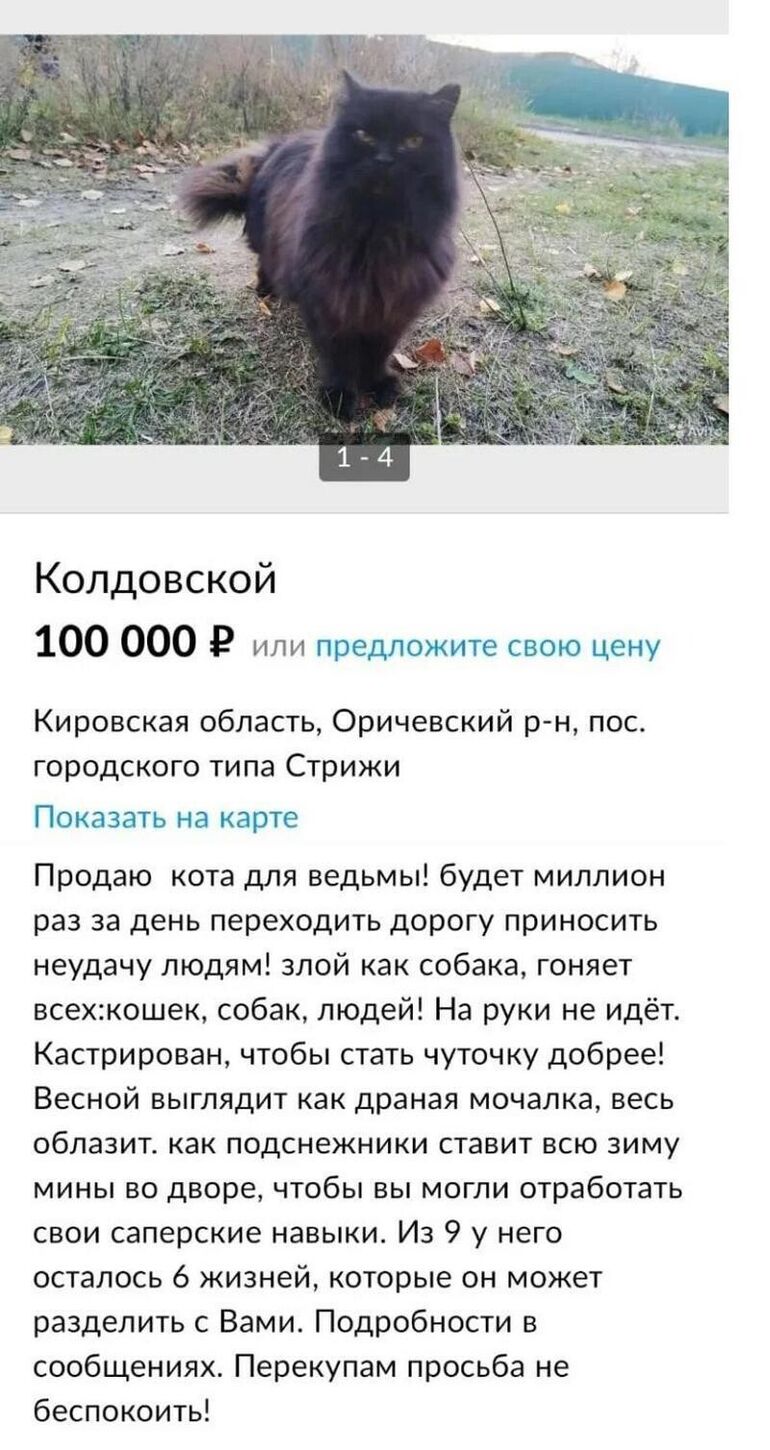 15 фото самых странных объявлений с барахолок в интернете можно, Здесь, сколов, находкаЗеркало, интересная, двореОчень, своем, установить, которого, динозавра, насчет, питбулейТеплица, даромА, щенков, таких, продавал, нуженКтото, большой, свитерРебенок, женский