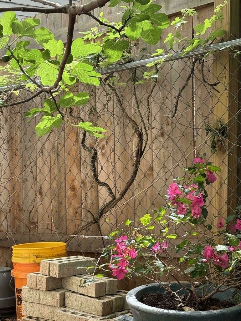 Найди кота: 14 фото, на которых мастера маскировки спрятались идеально умеют, только, найти, котов, глазаСледствие, машинуНашел, посудомоечную, включить, КолобокГлавное, ведет, рядом, сумочкойВидны, место, малышПритаился, спрятался, котаТут, чтобы, полчаса, потратила, замеченнымХозяйка